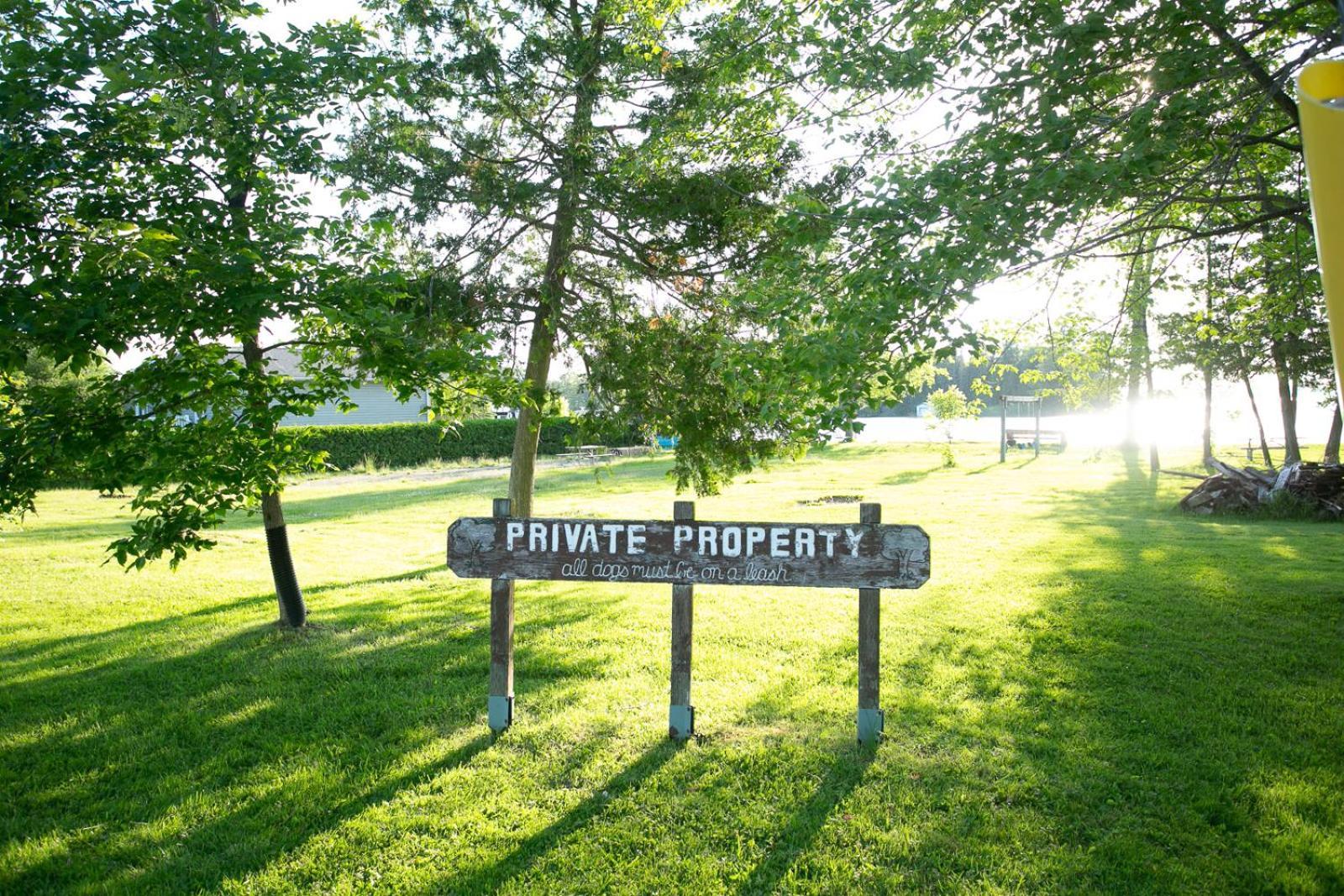 Fun Place With A Sandy Beach For Swimming, Boating, And Fishing, Featuring 3 Available Cabins Fenelon Falls Εξωτερικό φωτογραφία
